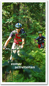 zomer activiteiten voor campinggasten